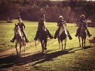 Walden Creek Stables | Pigeon Forge Horseback Riding