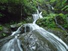 Roaring Fork Smoky Mountains Motor Nature Trail