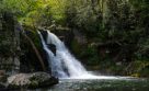 Abrams Falls Trail | Guide, Tips & Directions