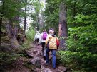 Smoky Mountain Hiking Trails