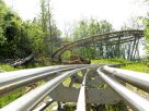 Smoky Mountain Alpine Coaster Pigeon Forge Tn 