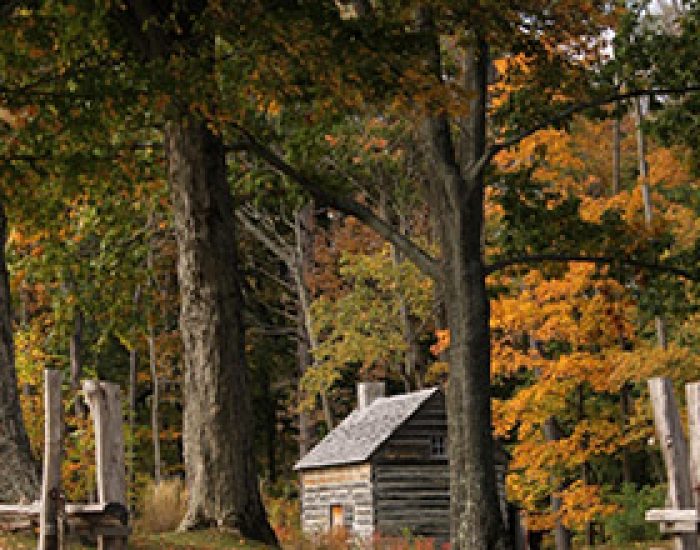  Diagnosis Cabin Fever â€“ Catch Cabin Fever In Gatlinburg 