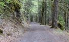 6 Scenic Unpaved Gravel Roads In The Smoky Mountains