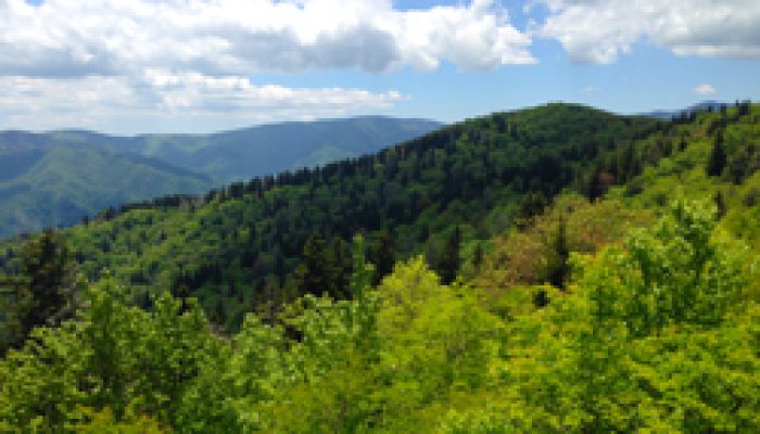 Best Ways To Avoid Crowds In Pigeon Forge And The Smokies