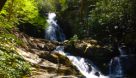 6 Easy Hikes In The Great Smoky Mountains National Park