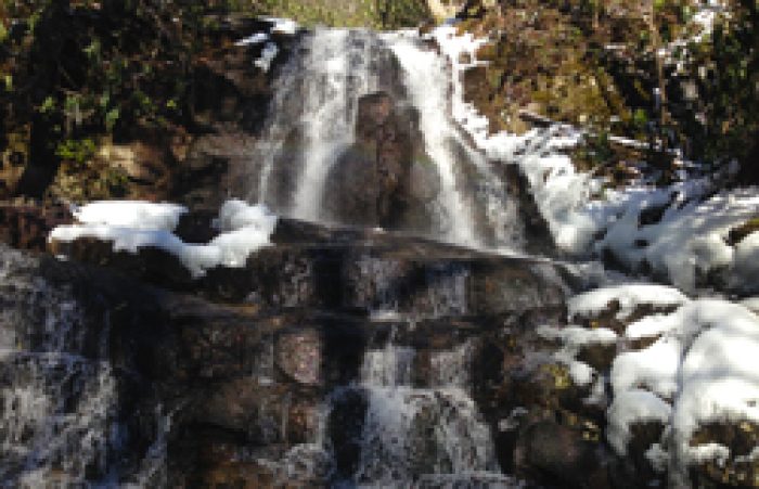 14 Best Winter Hiking Trails In The Smoky Mountains