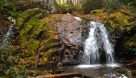 Best Short Hikes In The Great Smoky Mountains