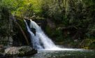 Top 10 Summer Activities Great Smoky Mountains National Park