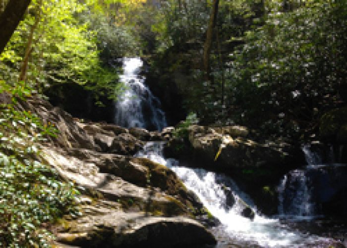 Best Hikes In Wears Valley, Tennessee