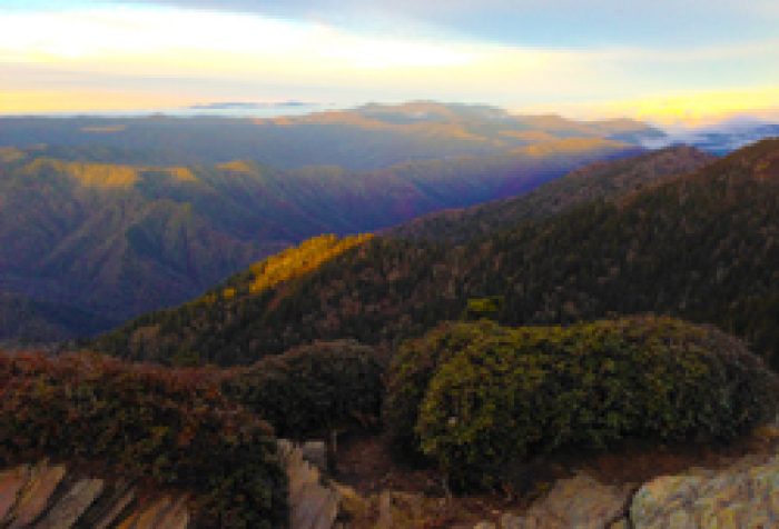 5 Best Day Hikes In The Smoky Mountains