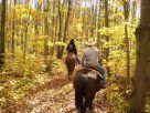 Horseback Riding In Pigeon Forge