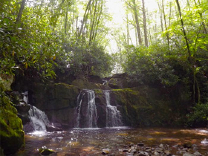 10 Pigeon Forge Summer Activities To Cool Off And Beat The Heat