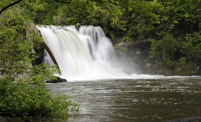 Abrams Falls in Summer