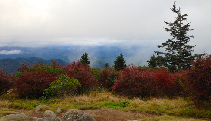 Mountain Views Andrews Bald