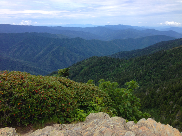View From Mt. LeConte