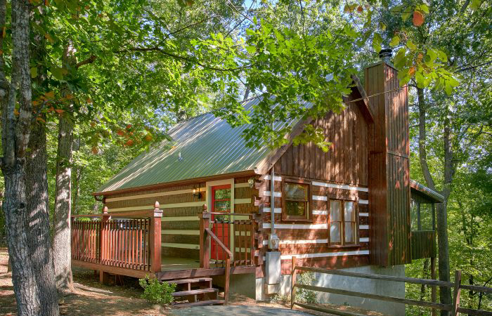 Cabin Under 100 in Pigeon Forge