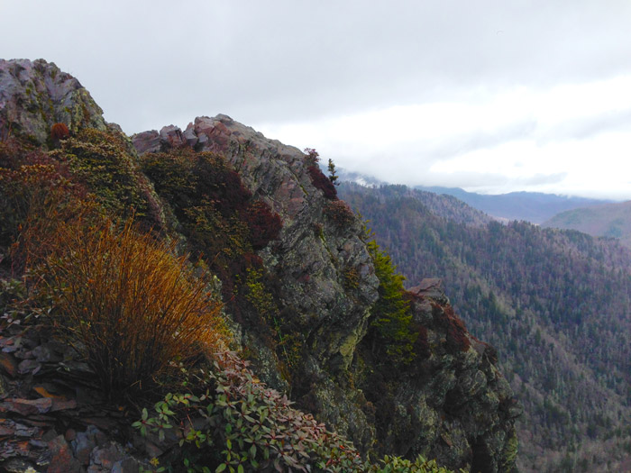 Charlie's Bunion Smoky Mountains