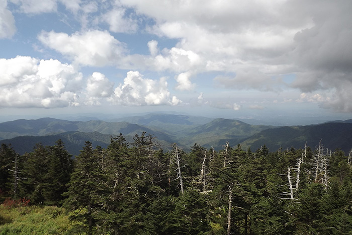 Breathtaking Clingman's Dome View