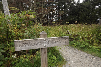 Hiking Clingmans Dome