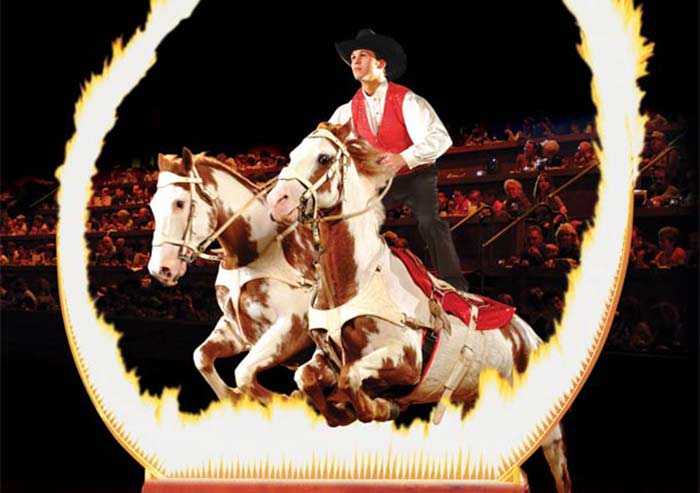 Dixie Stampede Dinner Attraction image