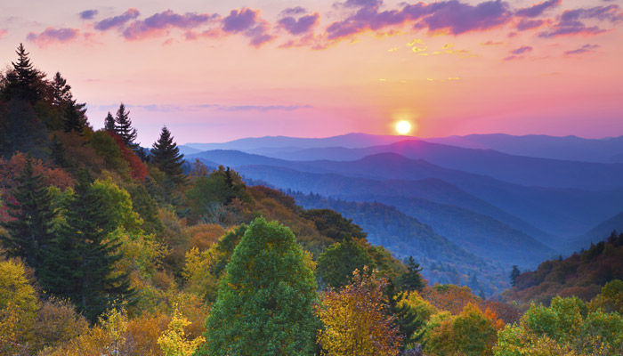 Fall View in the Smokies