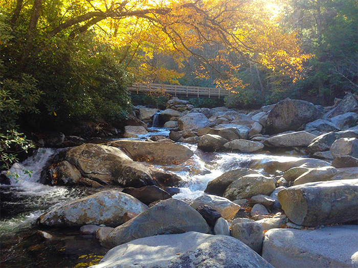 Fall At the Chimney Tops Trailhead