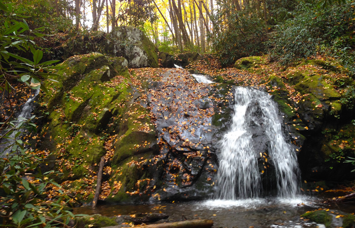 Waterfall in the Great Smoky Mountains National Park