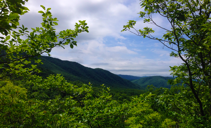 View From Foothills Parkway