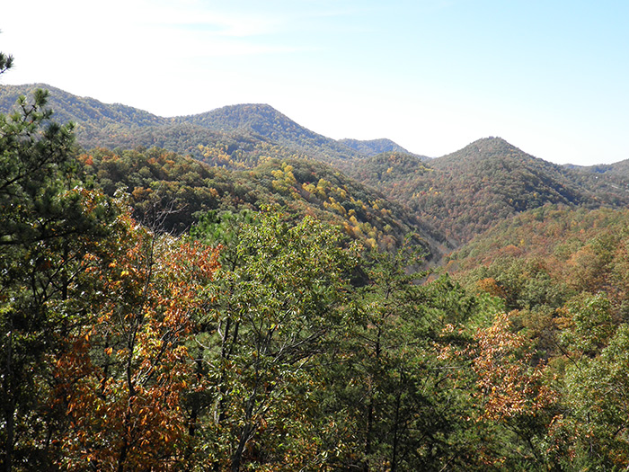 Foothills Parkway View