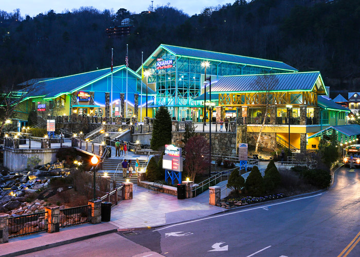 Ripley's Aquarium in Gatlinburg