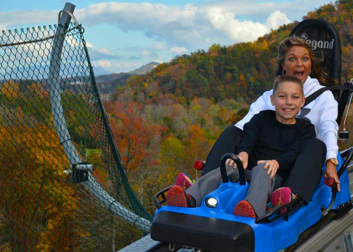 Goats on the Roof Coaster in the Fall