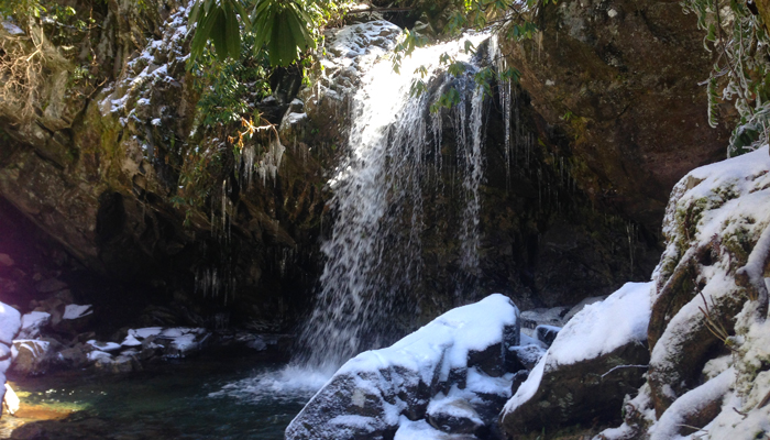 Grotto Falls in the Great Smoky Mountains