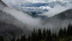 Spooky Mist in the Smoky Mountains