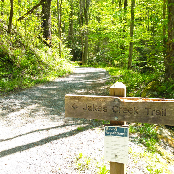 Jakes Creek Trail to Avent Cabin