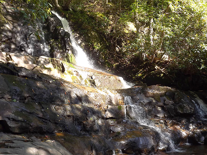 Waterfall Hike Near Wears Valley