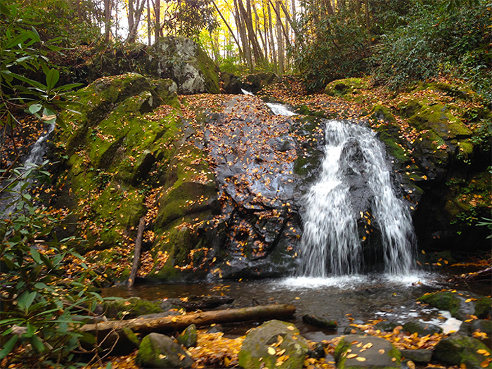 Meigs Creek Upper Cascades Great Smoky Mountains