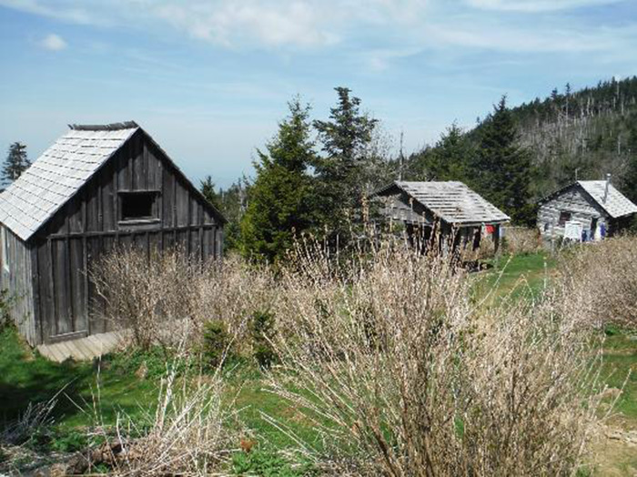 Beautiful Mt. LeConte Lodge