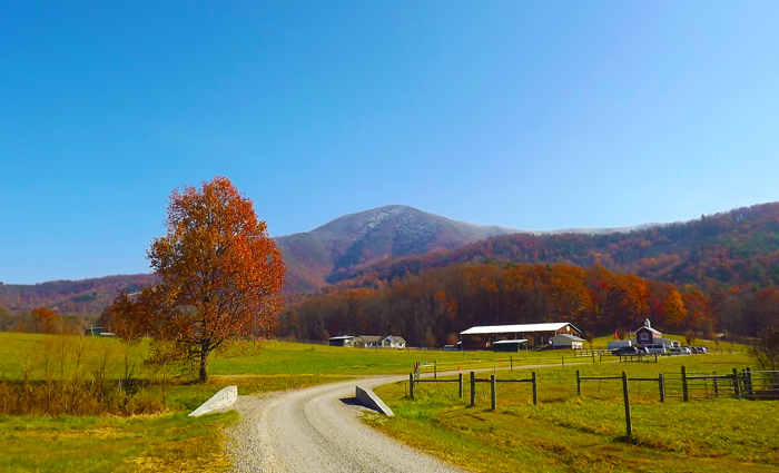 Wears Valley National Park Entrance