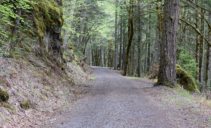 Gravel Roads near Me  