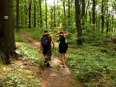 Hiking Trails in The Smoky Mountains