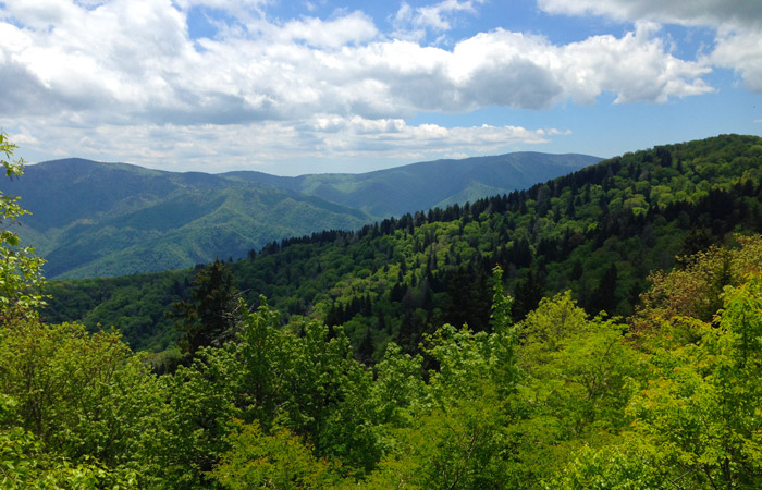 Spring Break Hiking Trip