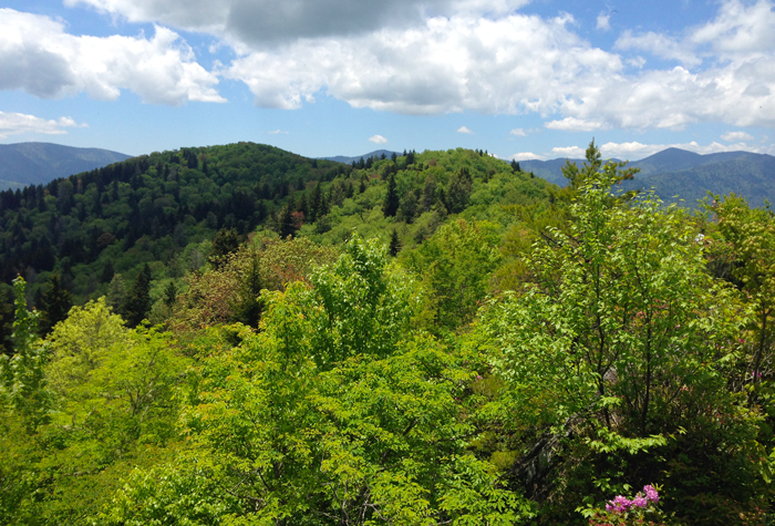 View From Mt Cammerer in Spring