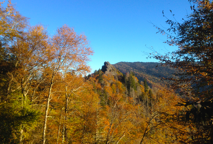 View From Chimney Tops Trail