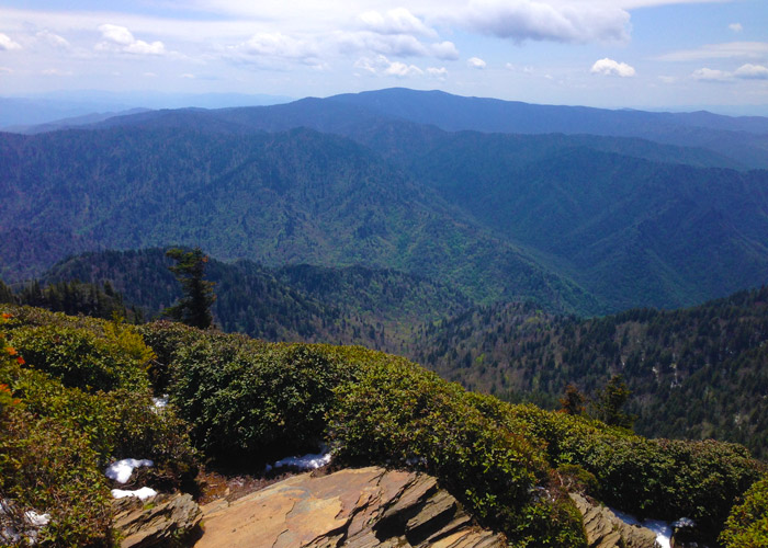 View From Mt. Leconte in the Smokies