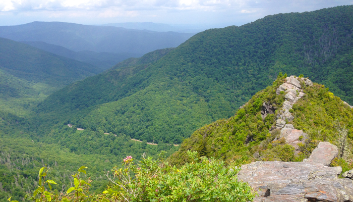 View From The Chimney Tops