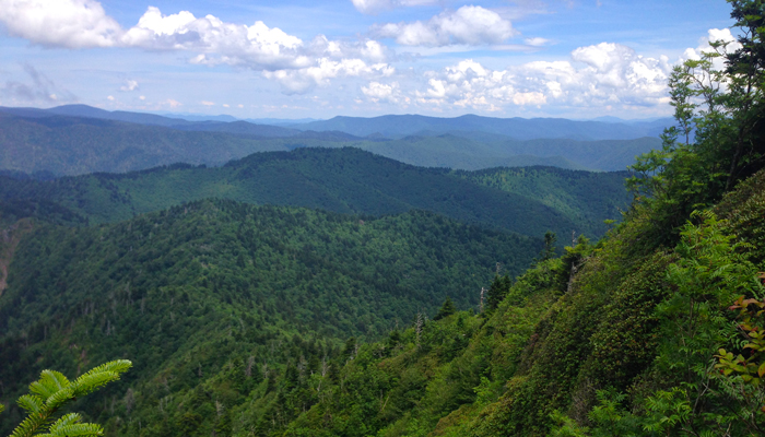 The Jump Off Smoky Mountains