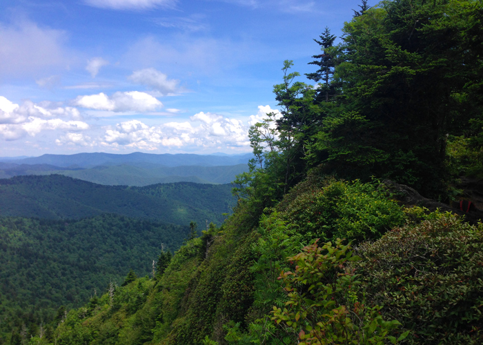 Deciviews from Look Rock, Great Smoky Mountains National Park: How Hazy is  it?