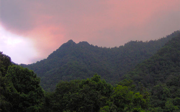 View of Chimney Tops From Newfound Gap Rd