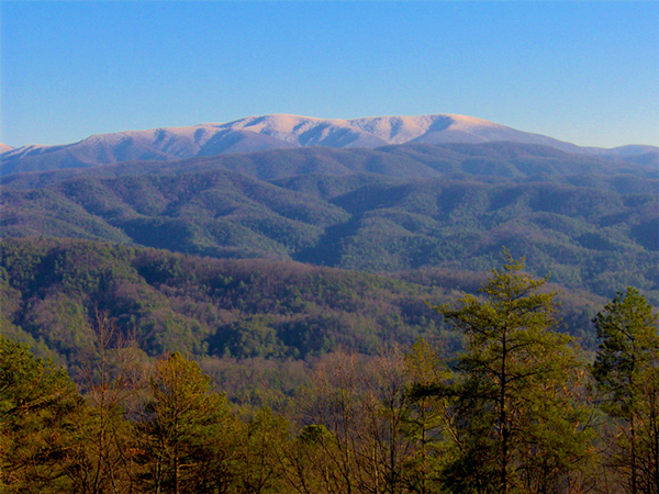 View Gregorys Bald in Winter