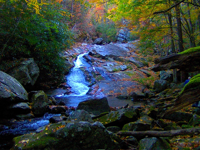 Lynn Camp Prong in Fall